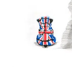 "MY NAME IS DOG, BULL THE DOG" ASTON MARTIN DB5 – Image 7