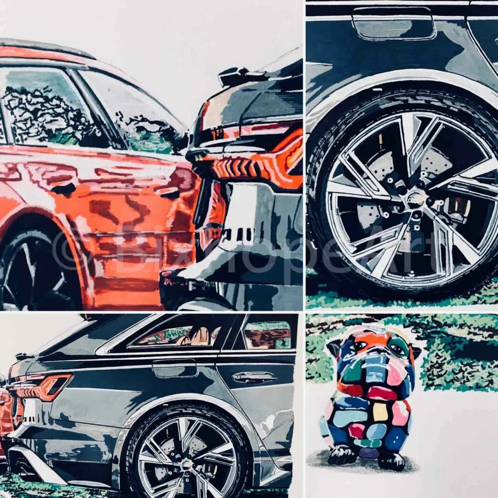 "L'EMBARRAS DU CHOIX" AUDI RS6 C8 – Image 3
