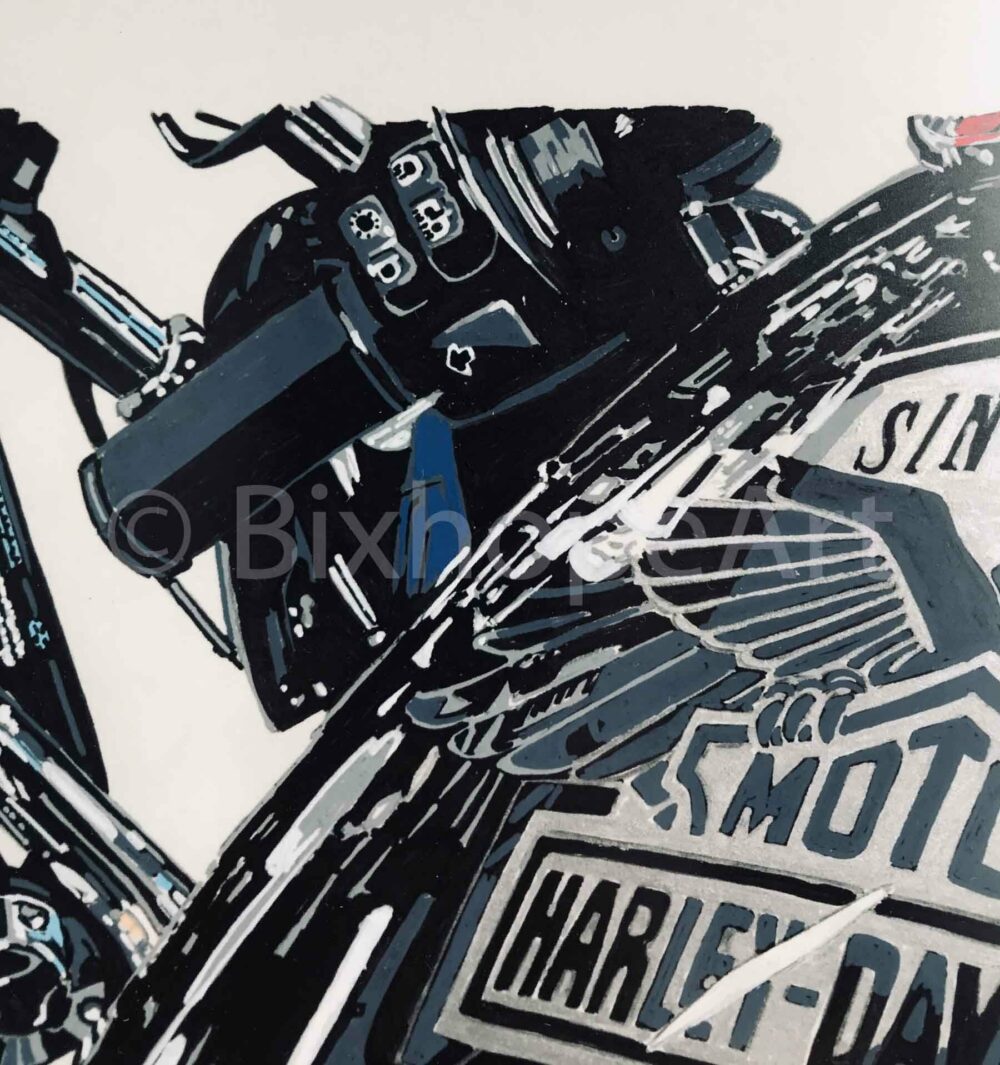 "EASY RIDER" HARLEY DAVIDSON – Image 6